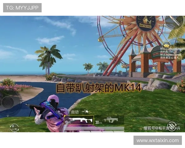 和平精英评论：WE在比赛中的反击策略与成效分析