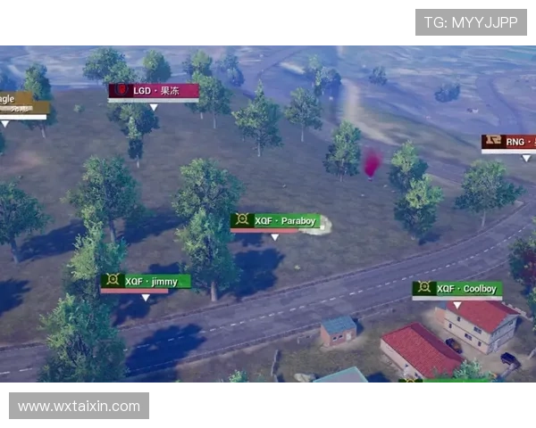 和平精英焦点：深入分析RNG战队在比赛中的耐力表现与策略调整