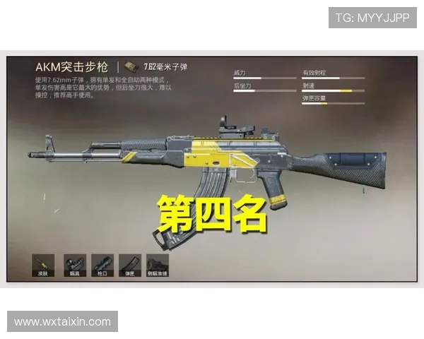 和平精英热议TES耐力争议背后的战术思考与影响分析