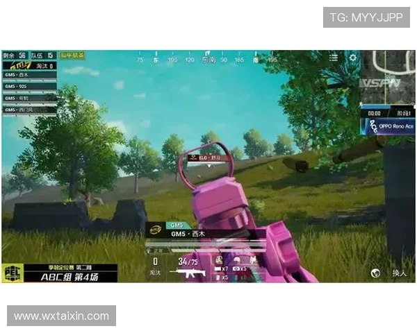 和平精英赛事分析：TES反击策略的成功与不足之处探讨