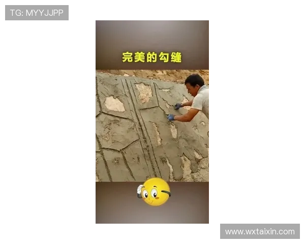 广州攀岩队的默契配合与攀岩技巧探讨之旅