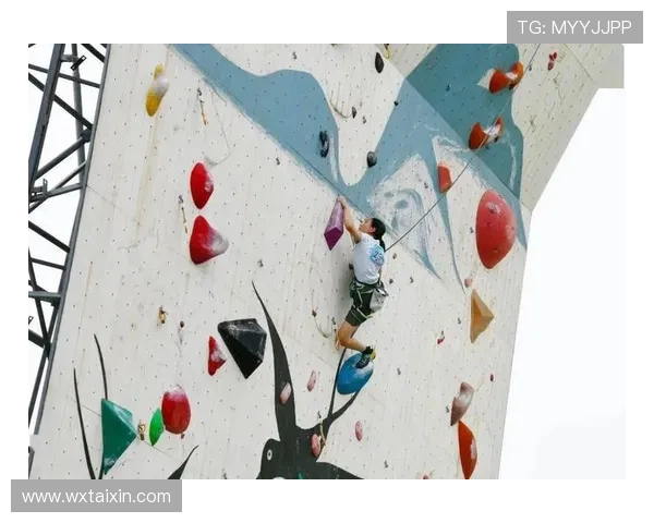 广州攀岩队实力引发热议业内专家对其竞技水平展开激烈讨论