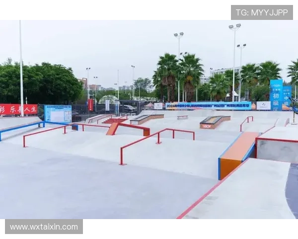 广州滑板队技术深度解析与滑板文化发展探讨