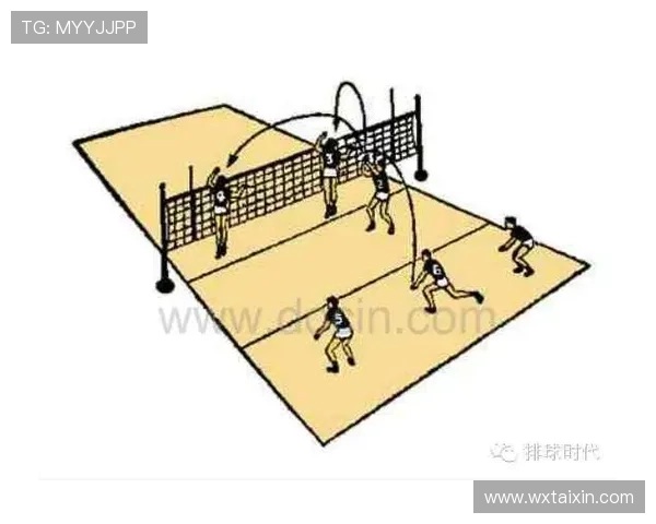 成都排球队整体压制打法深度分析与战术解读