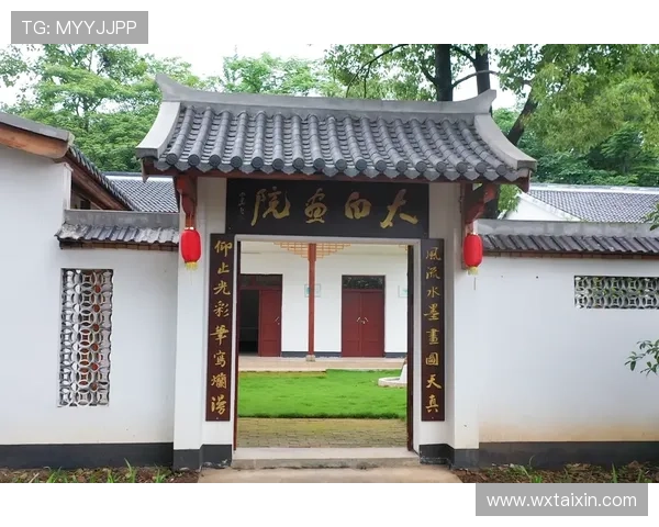 成都滑板队引领潮流新风尚打造城市文化新节奏